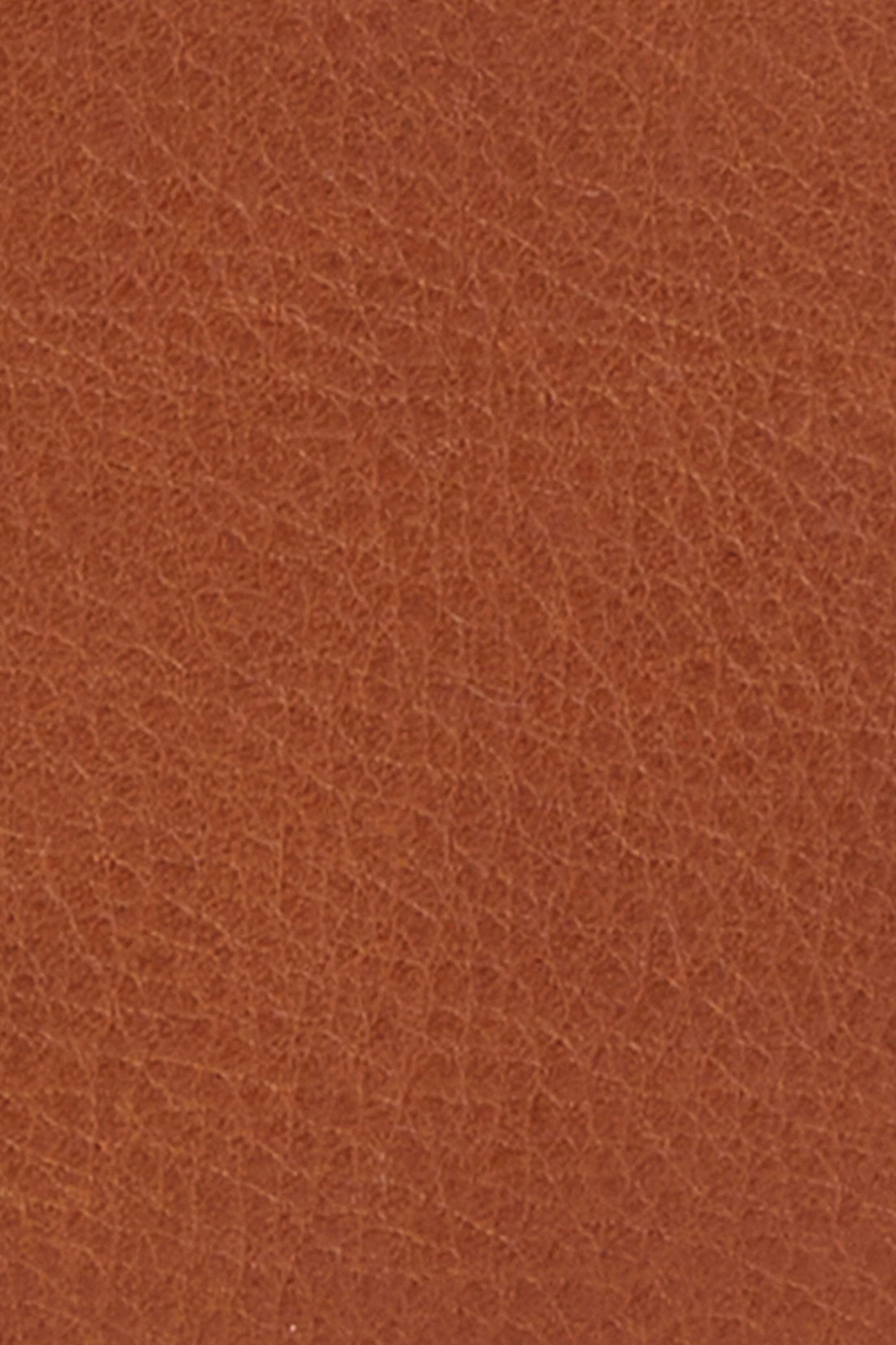 Laire Wristlet - Brown - Image 7