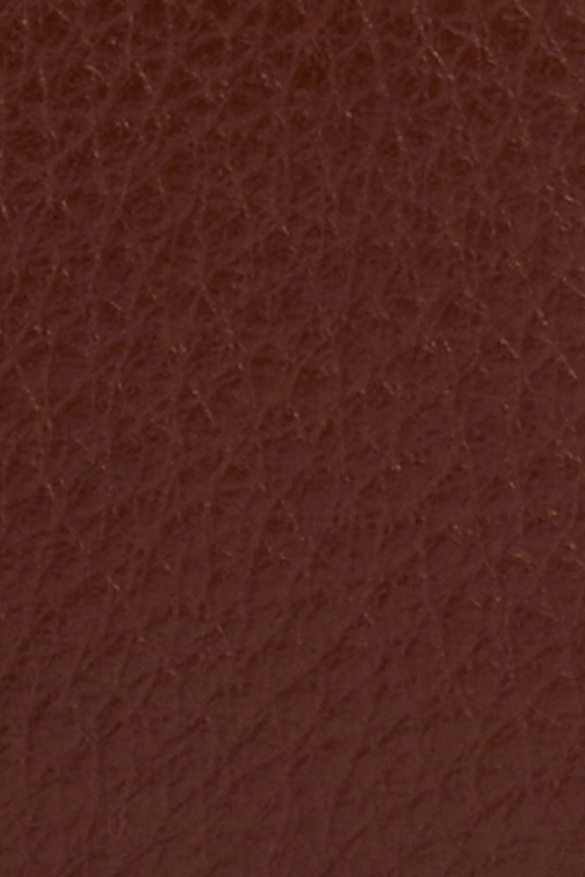 Rosa Leather French Purse - Brown/Classic - Image 9